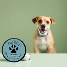 Load image into Gallery viewer, Nano-hydroxyapatite Remineralizing Fluoride Free Mineral Tooth Powder for Dogs 3.5oz Organic Ingredients